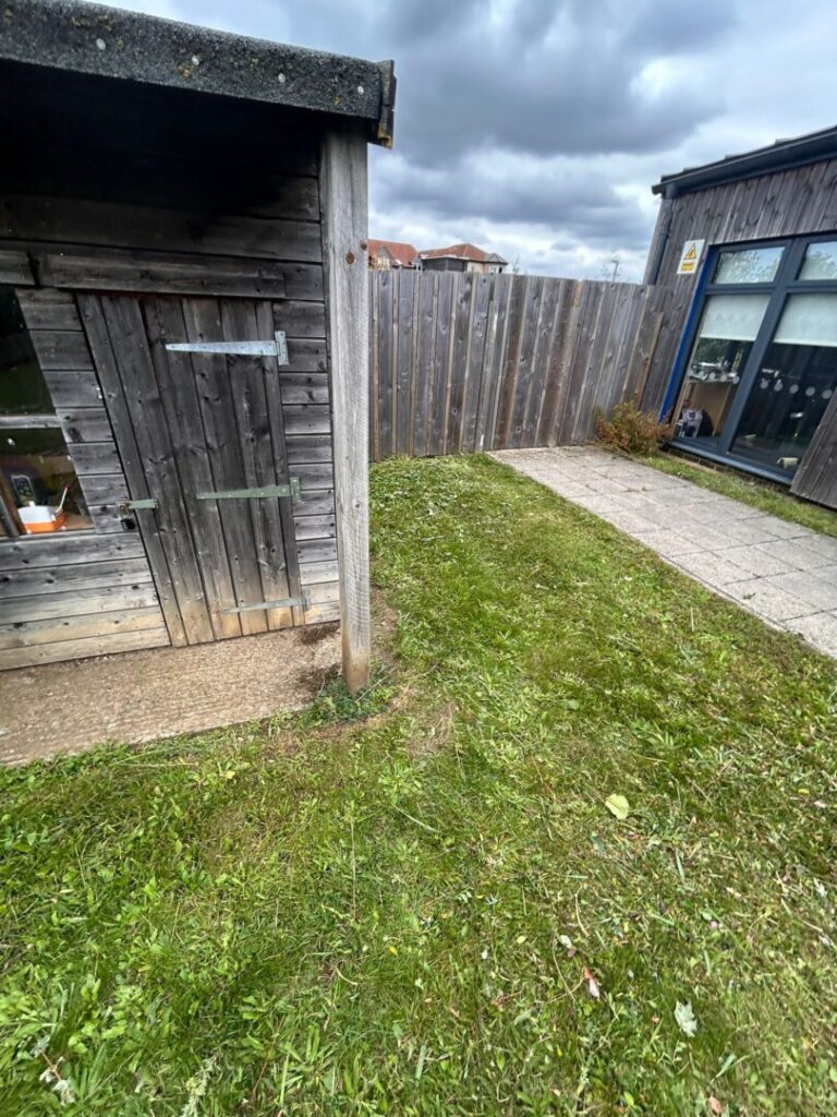 grass mowing service in back garden near shed
