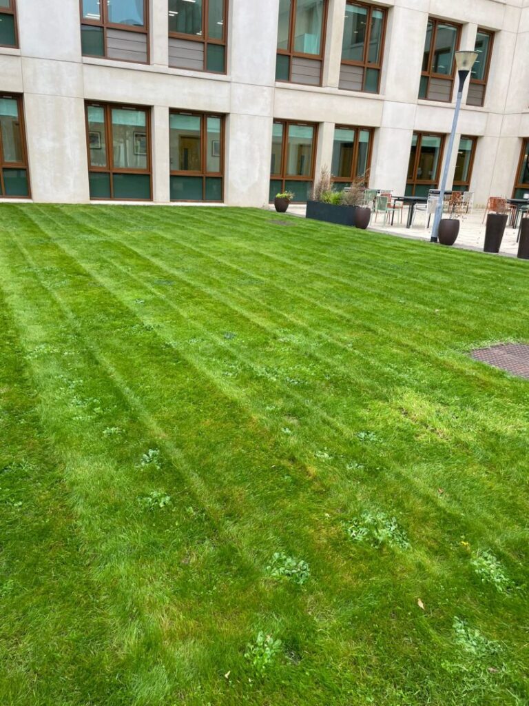 grass cutting outside building