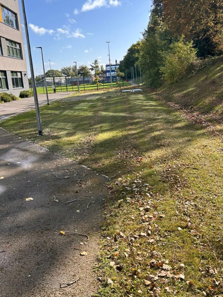contracted grass mowing service outside school