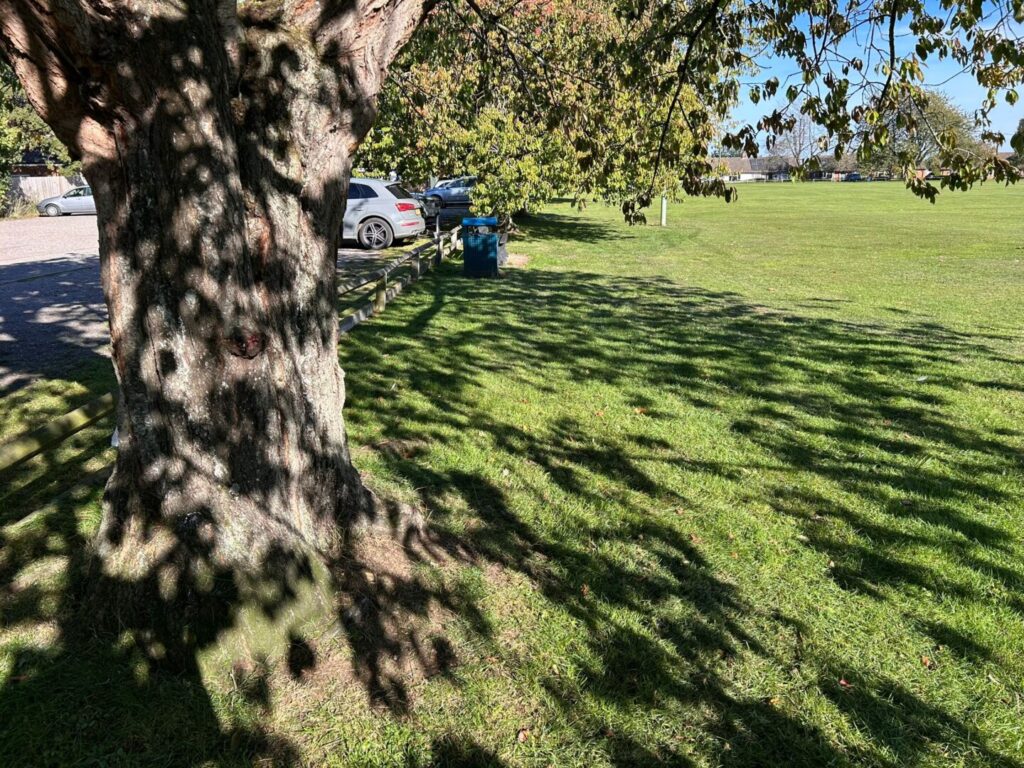 grass mowing service completed on big field
