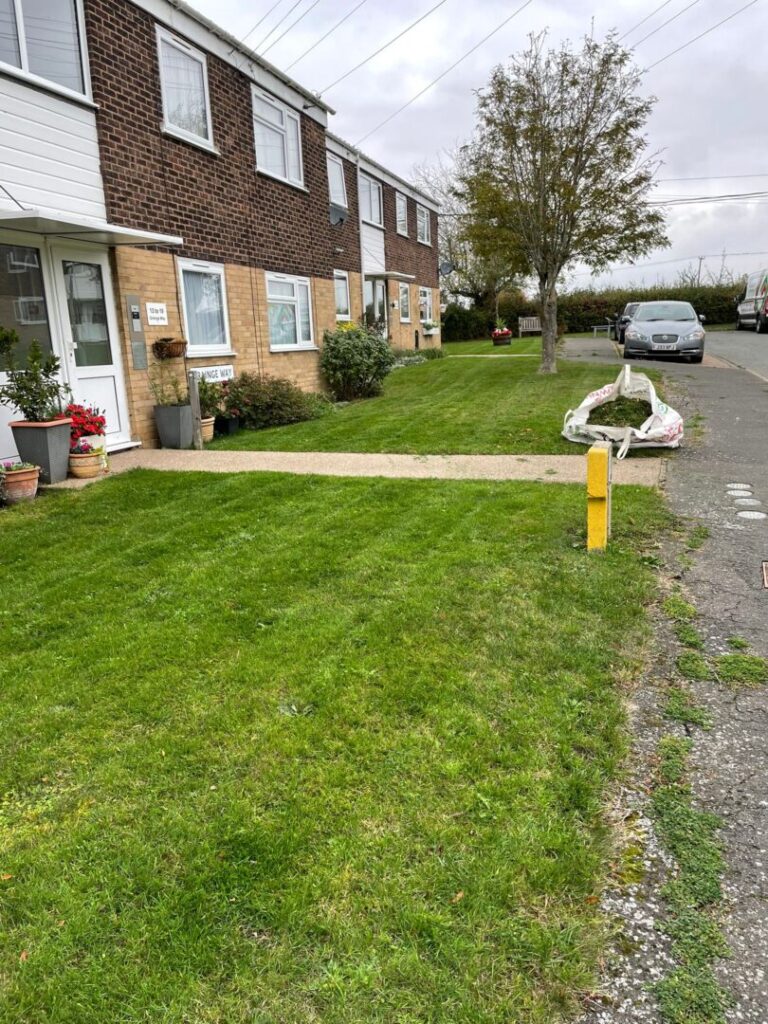 front garden grass cutting and mowing