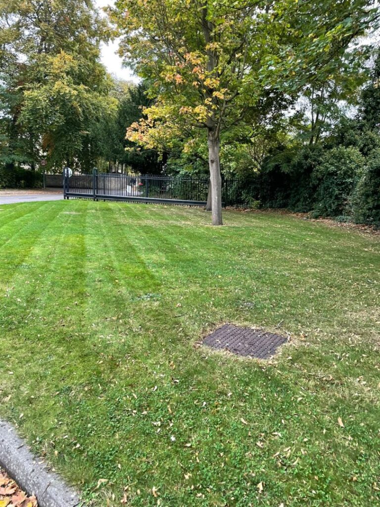 grass mowing service completed next to road