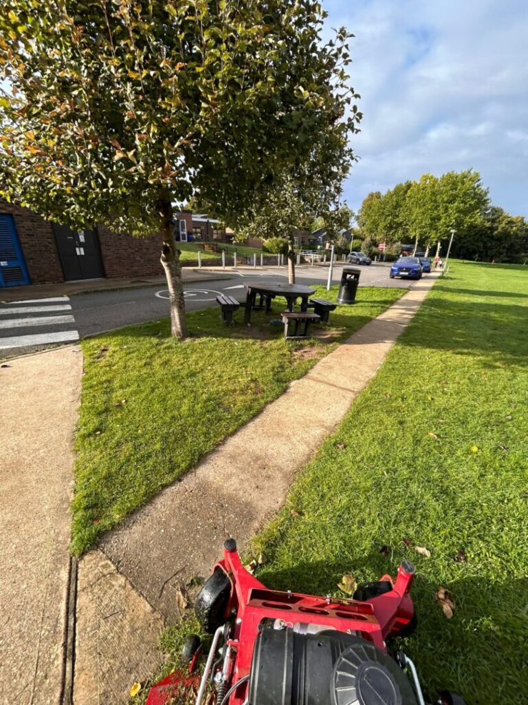 grass cutting & mowing on big field