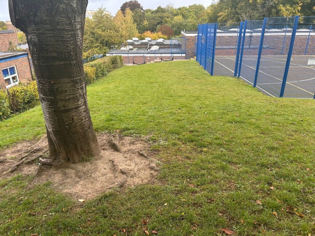contracted grass mowing outside sports concrete pitch