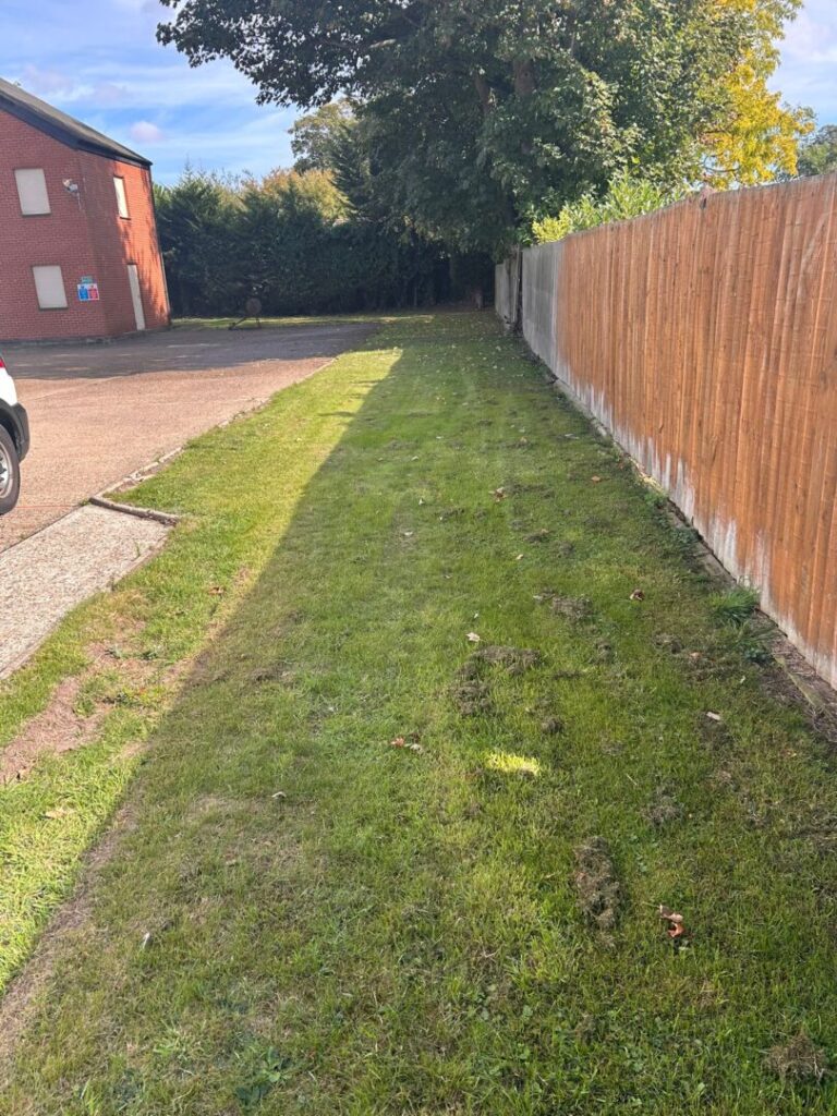 grass mowing service completed next to car park