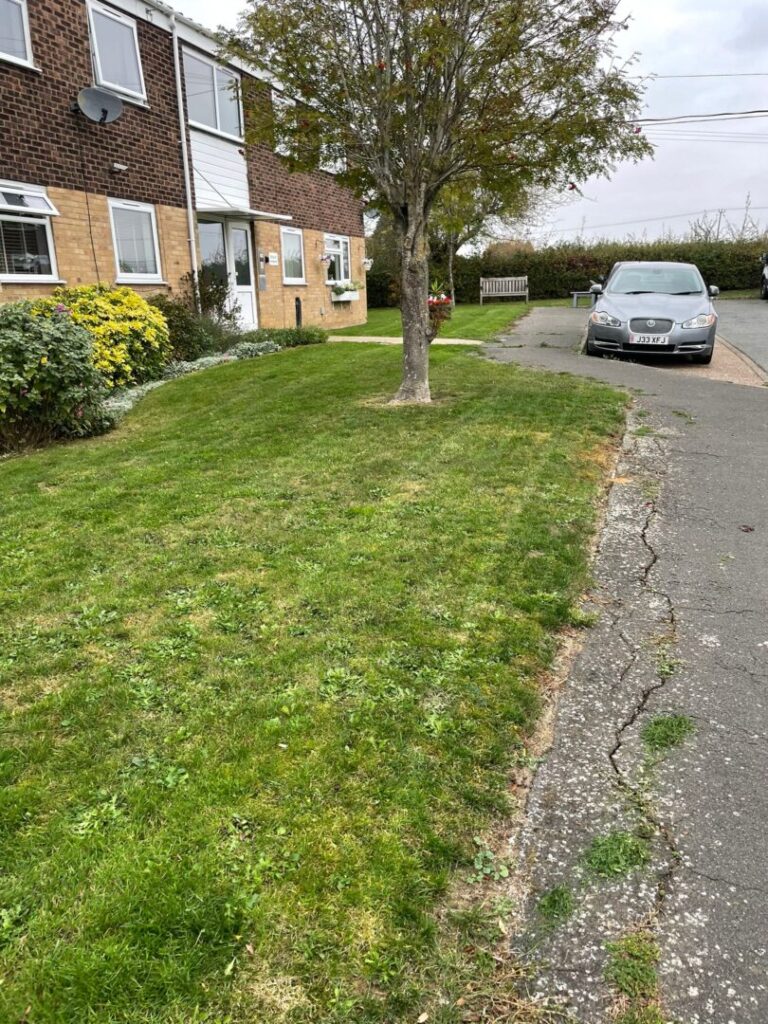 front garden of apartments grass cutting
