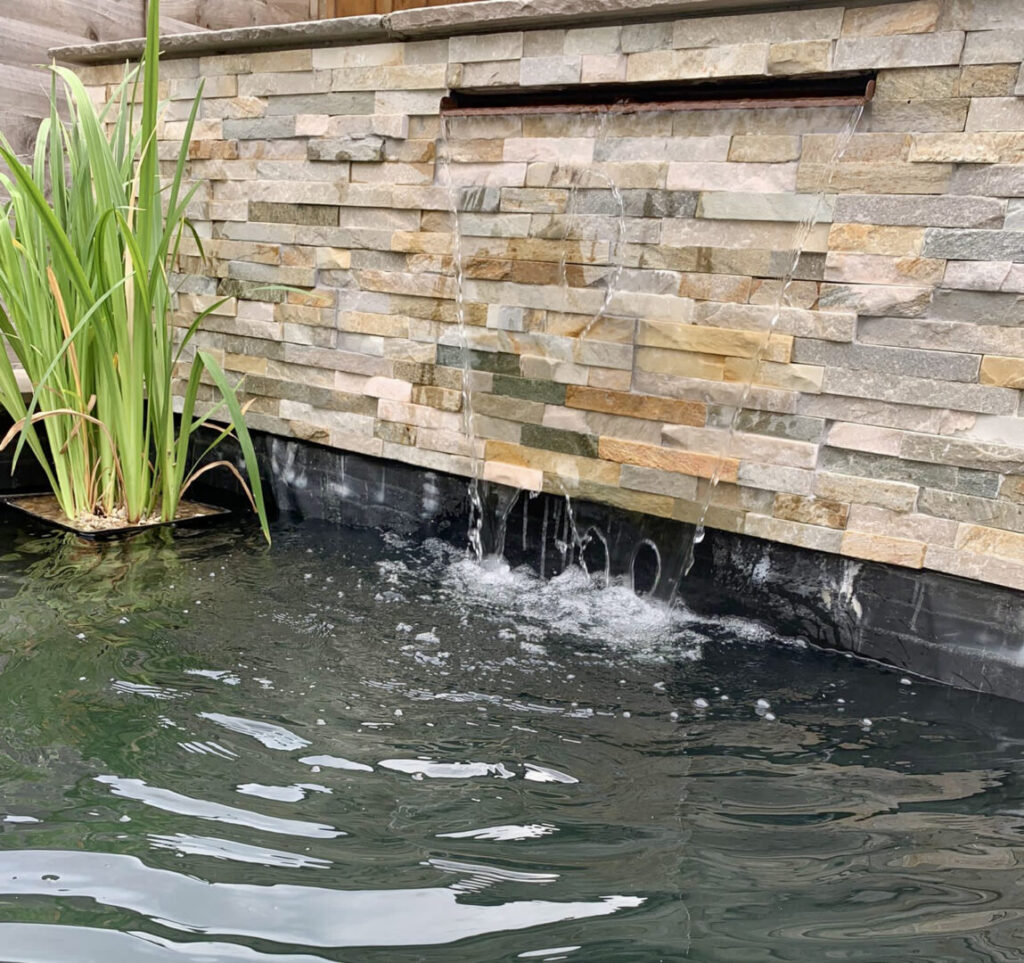 pond cleaning and maintenance
