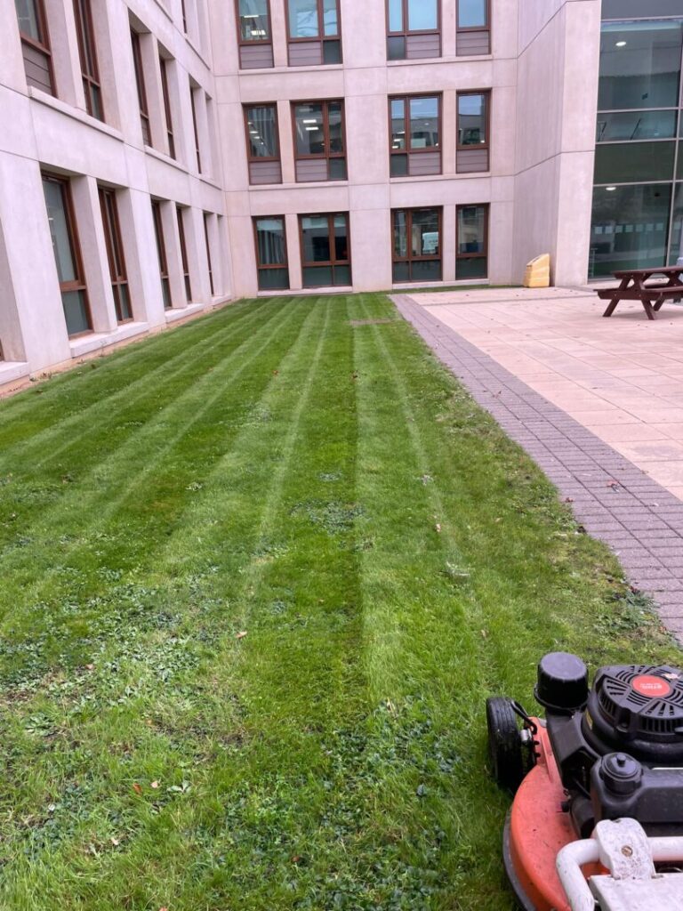 big building contracted grass mowing service in norfolk