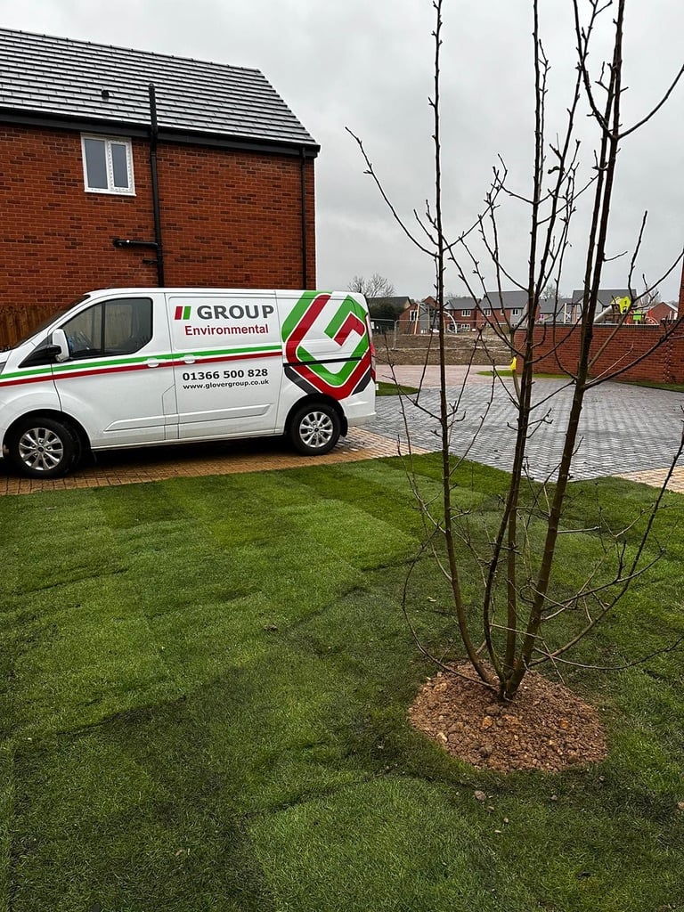 domestic turf & lawn completed outside front of house