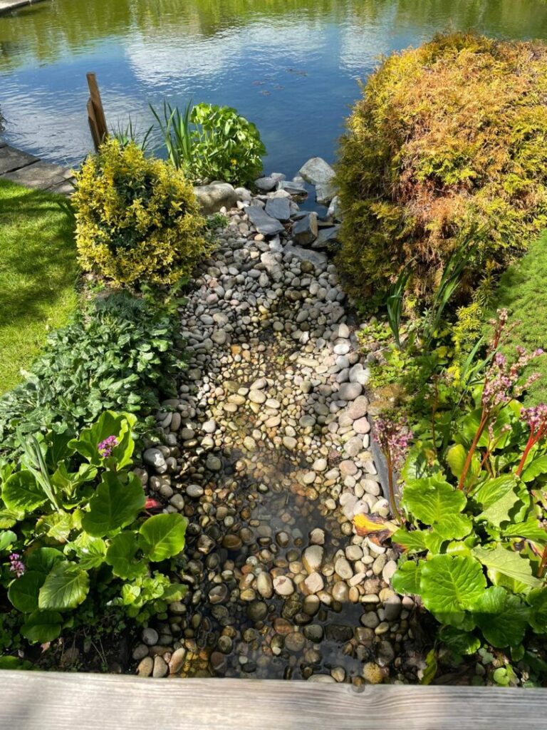 near pond maintenance