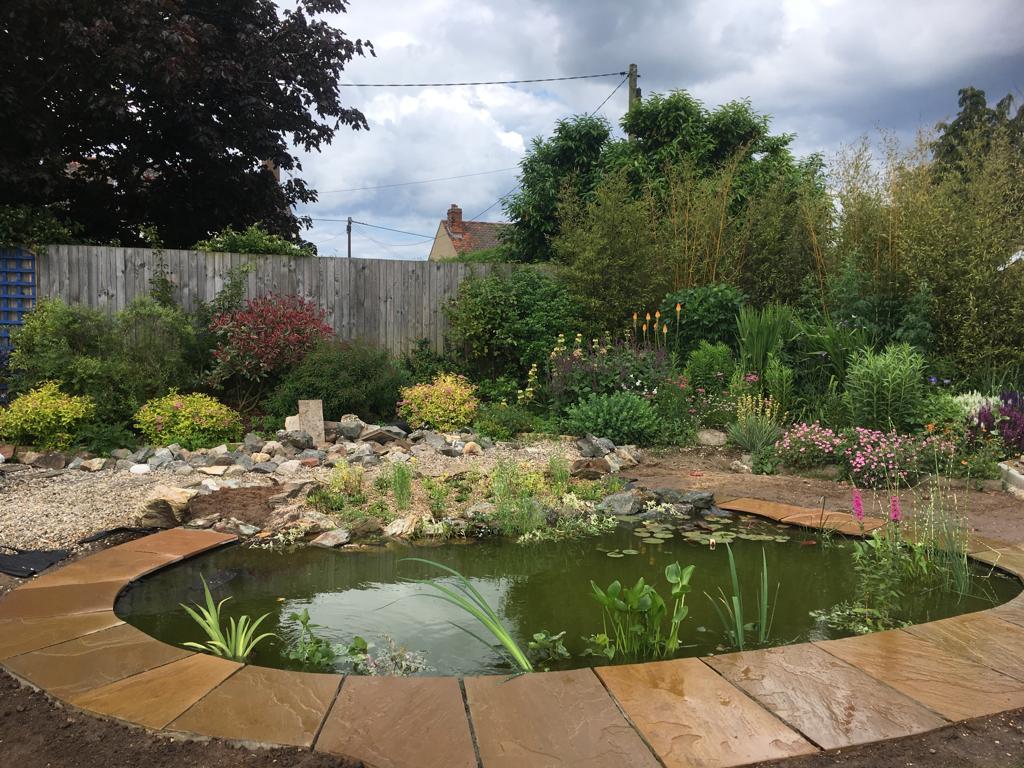 clean pond after construction