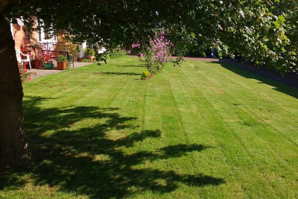 Domestic Grass Cutting & Lawn Mowing Norfolk & East Anglia