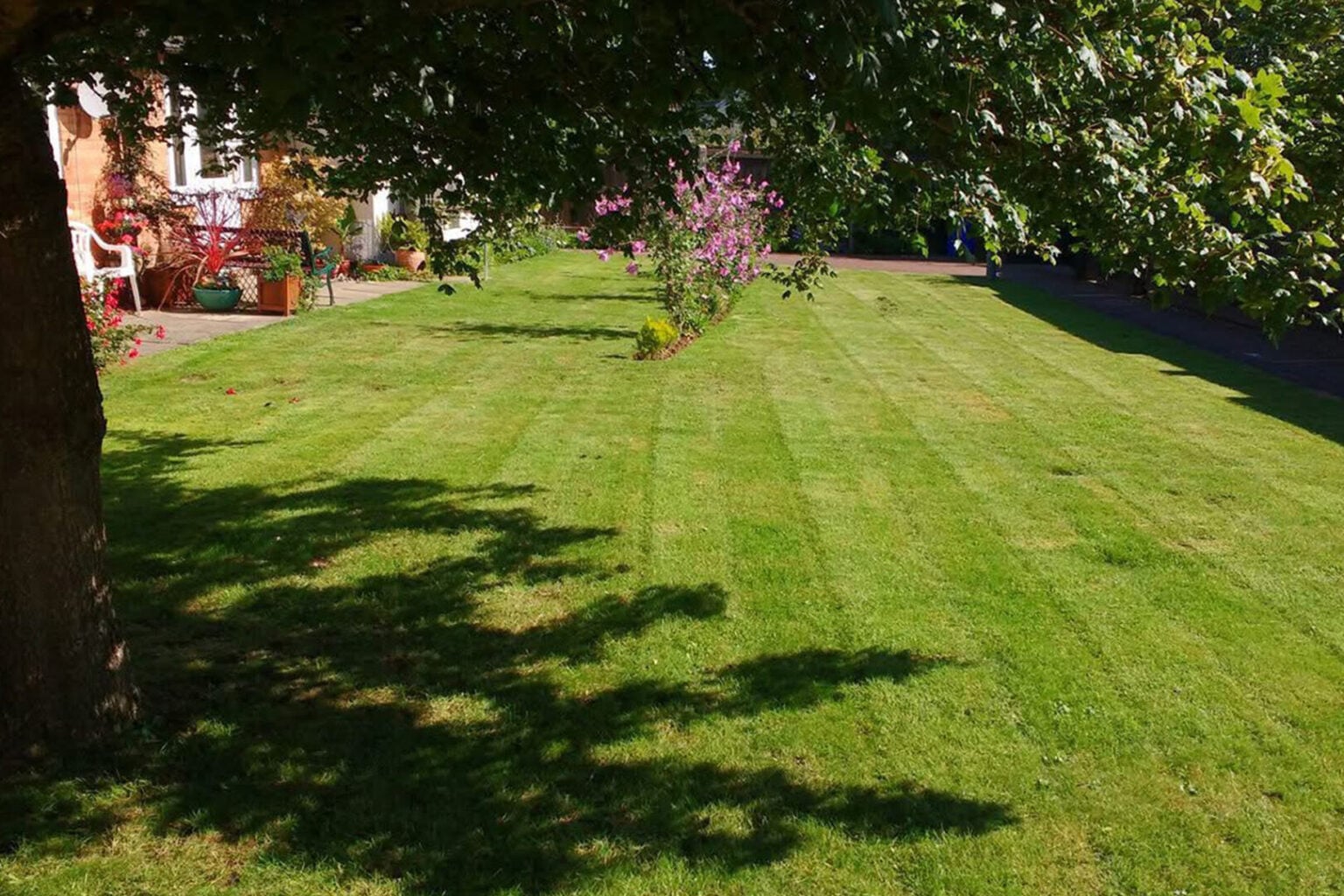 Domestic Grass Cutting & Lawn Mowing Norfolk & East Anglia