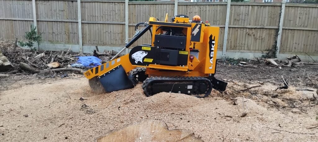 stump removal service taken place