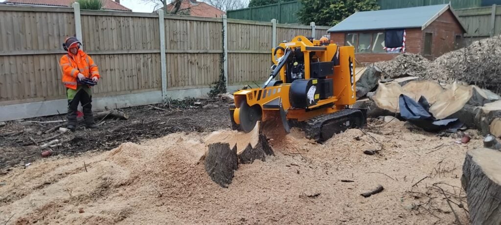 tree stump being removed
