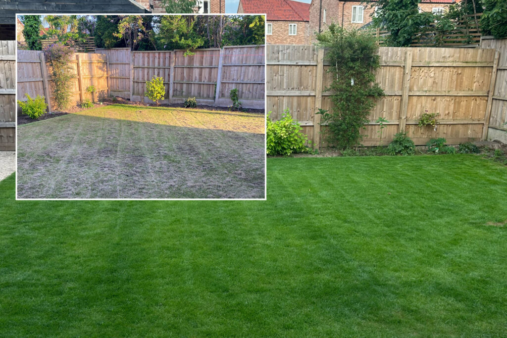 Lawn care - scarifying and lawn reseeding service across Norfolk & East Anglia. Professional domestic lawn care to restore healthy lawns.