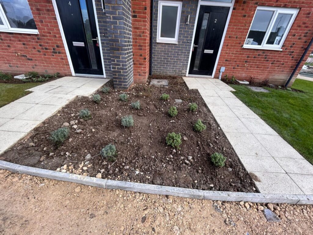 planting solutions for house