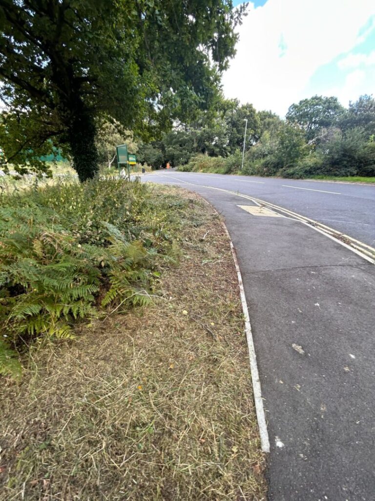 side road tree and bush grounds maintenance clearing