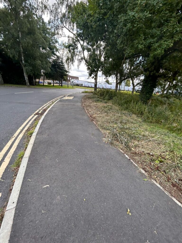 side of road tree and bush maintenance