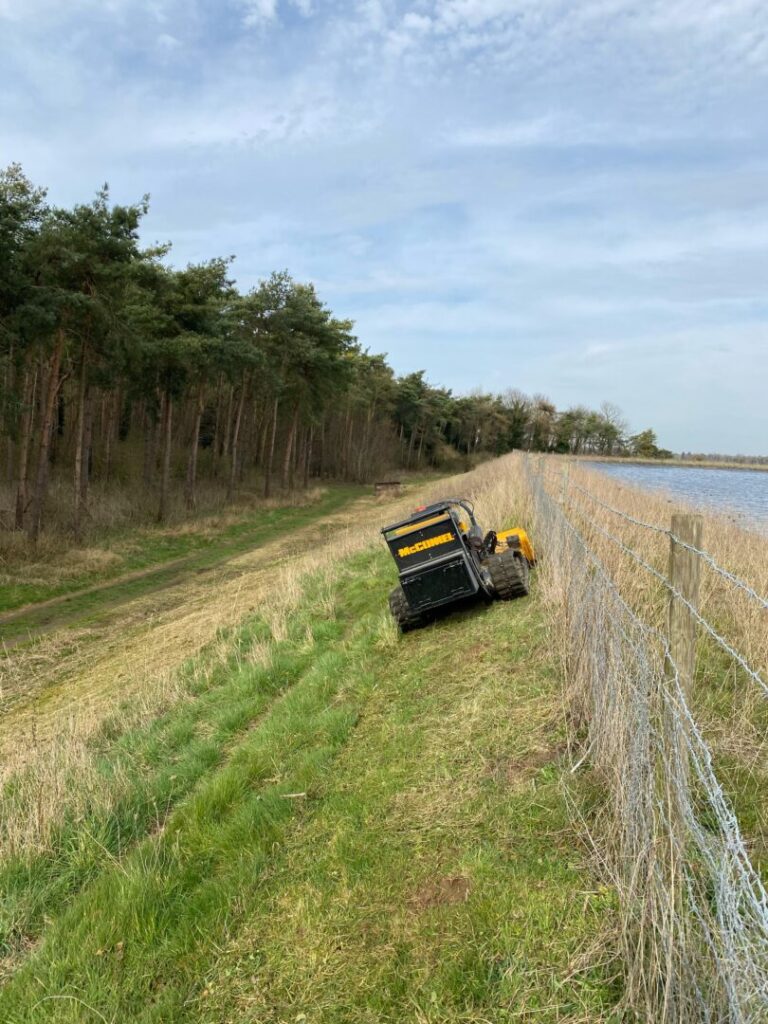 clearing on side of lake