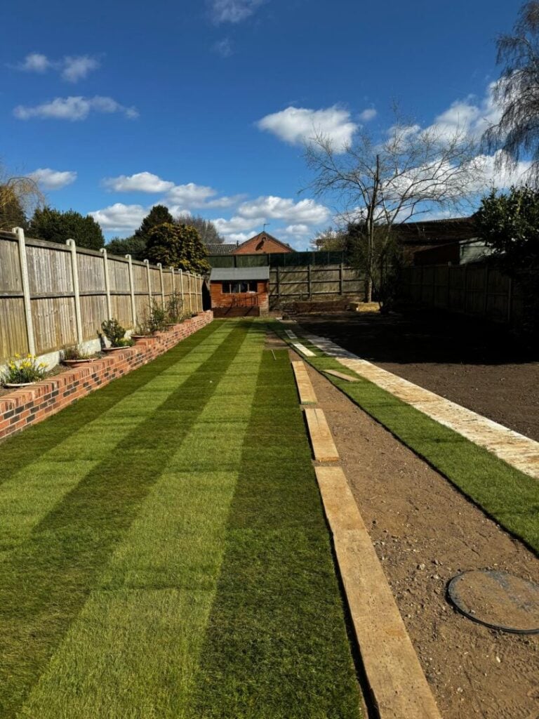 overseeding and turf service completed in back garden
