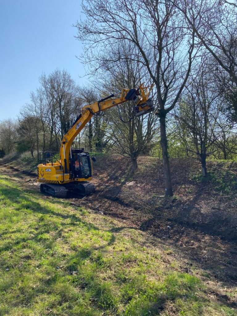 Mechanical tree shearing on site