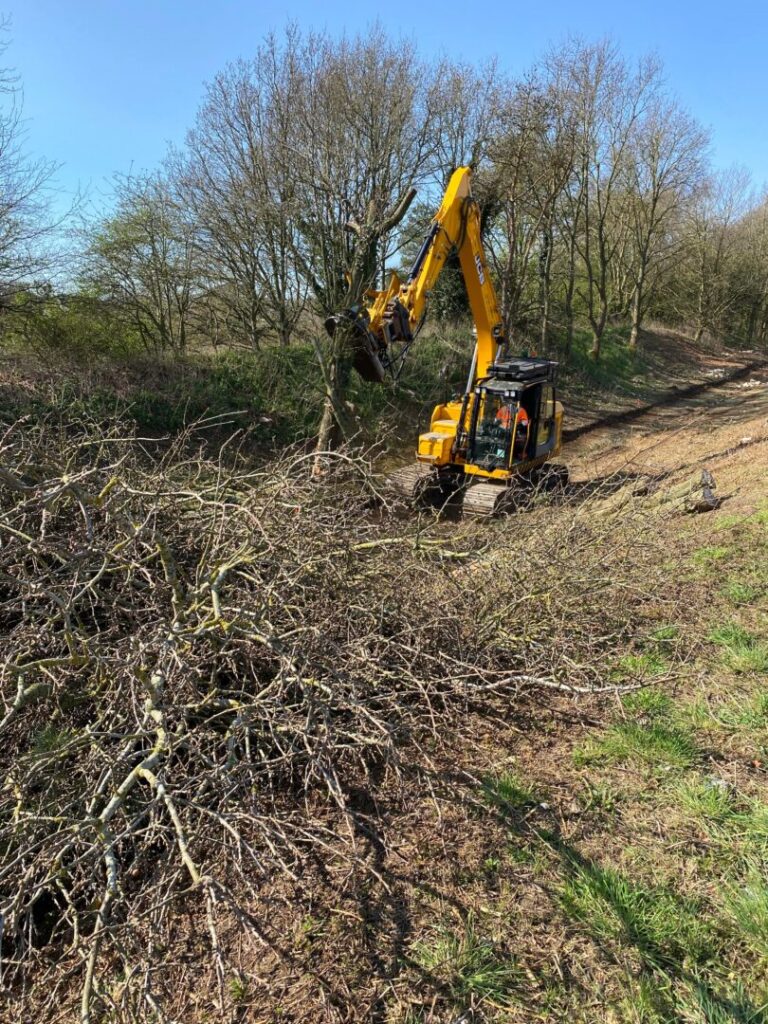 tree shearing and cutting on land