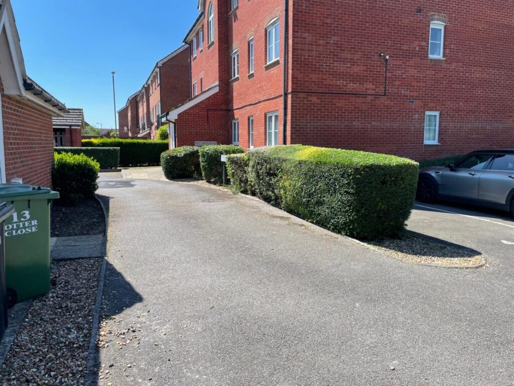 hedge trimming completed outside house