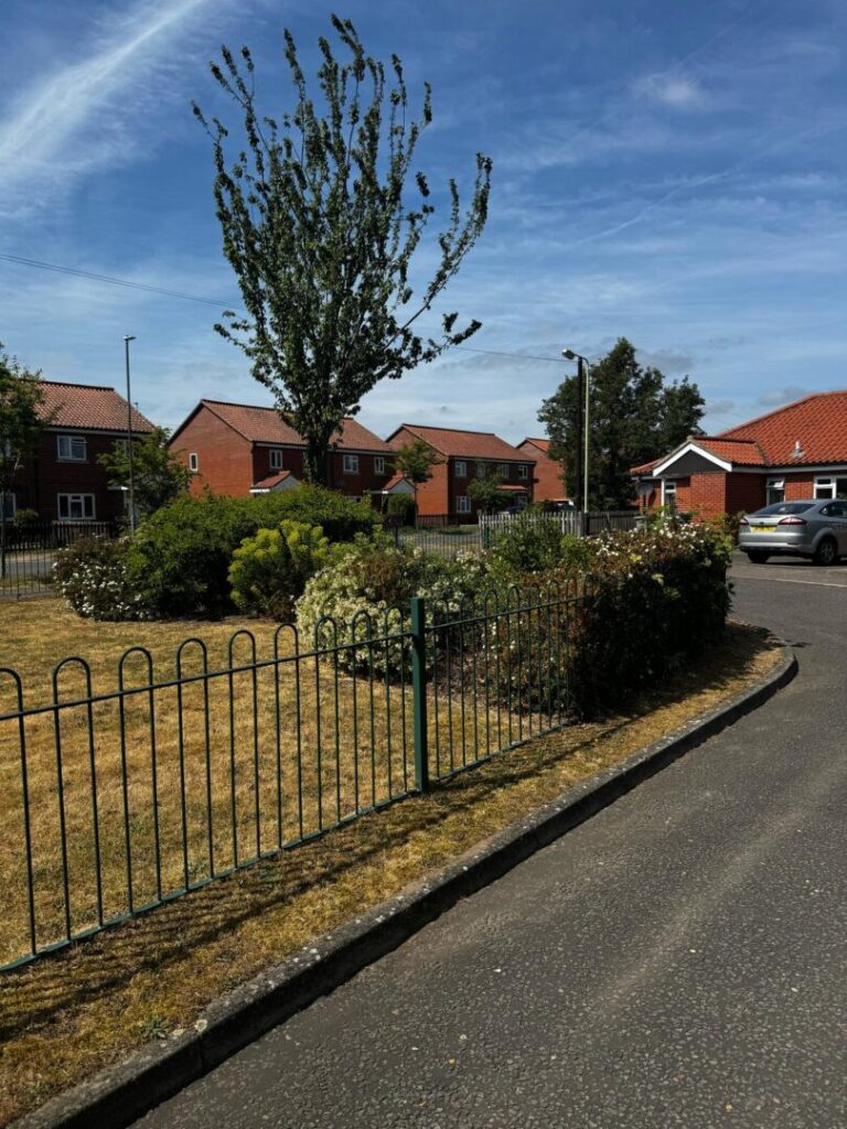 grass cutting and bush maintenance outside homes