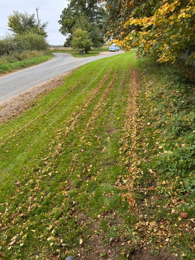 side of road grass cutting and mowing along tree edge
