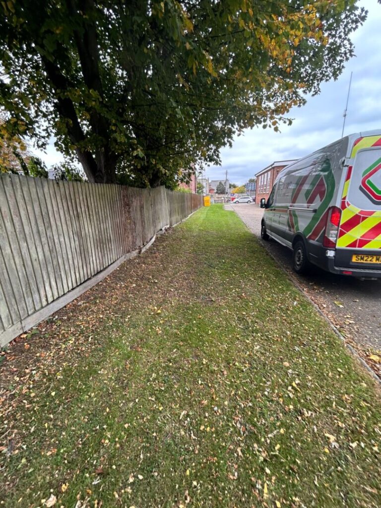 grass cut and mowed along road and fence with over hanging tree