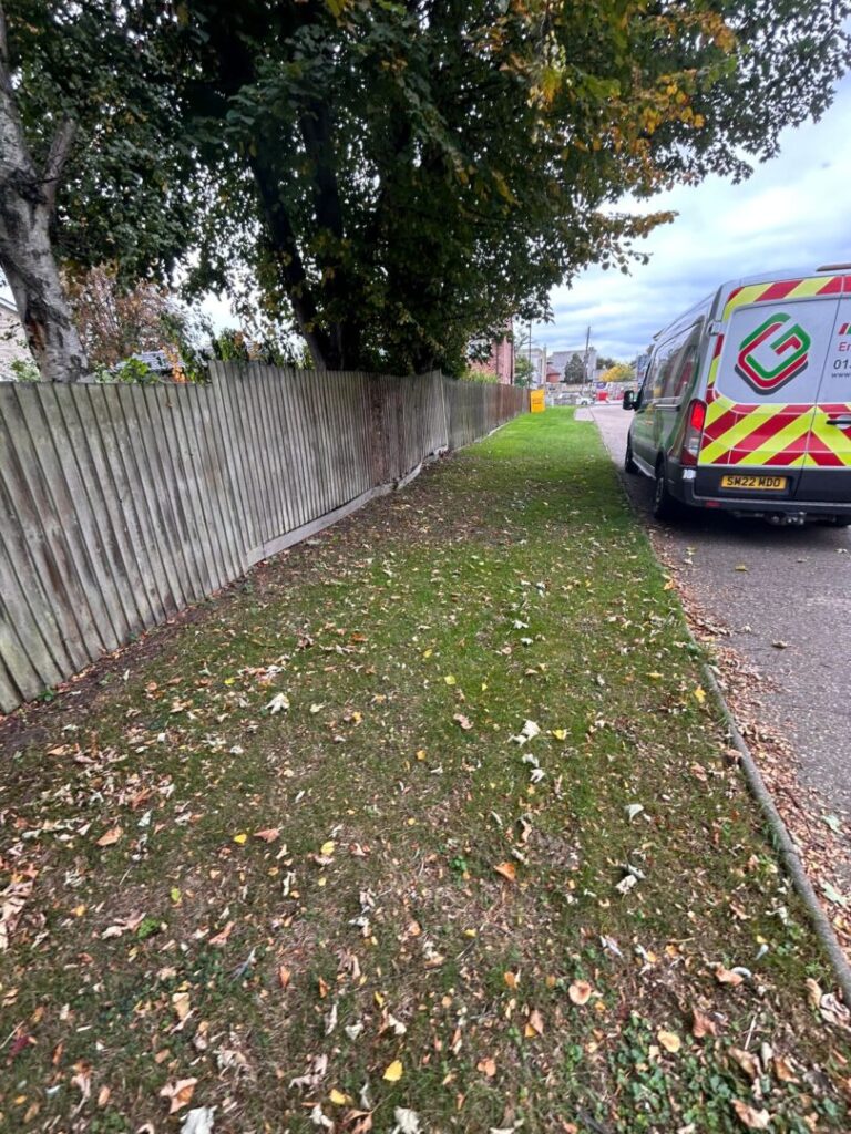 grass cutting next to fence and road with overhanging trees
