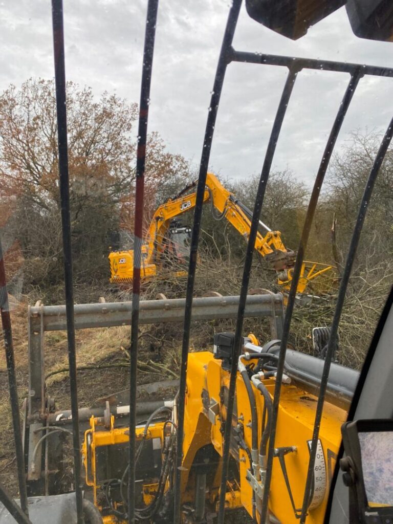 norfolk site tree cutting and maintenance