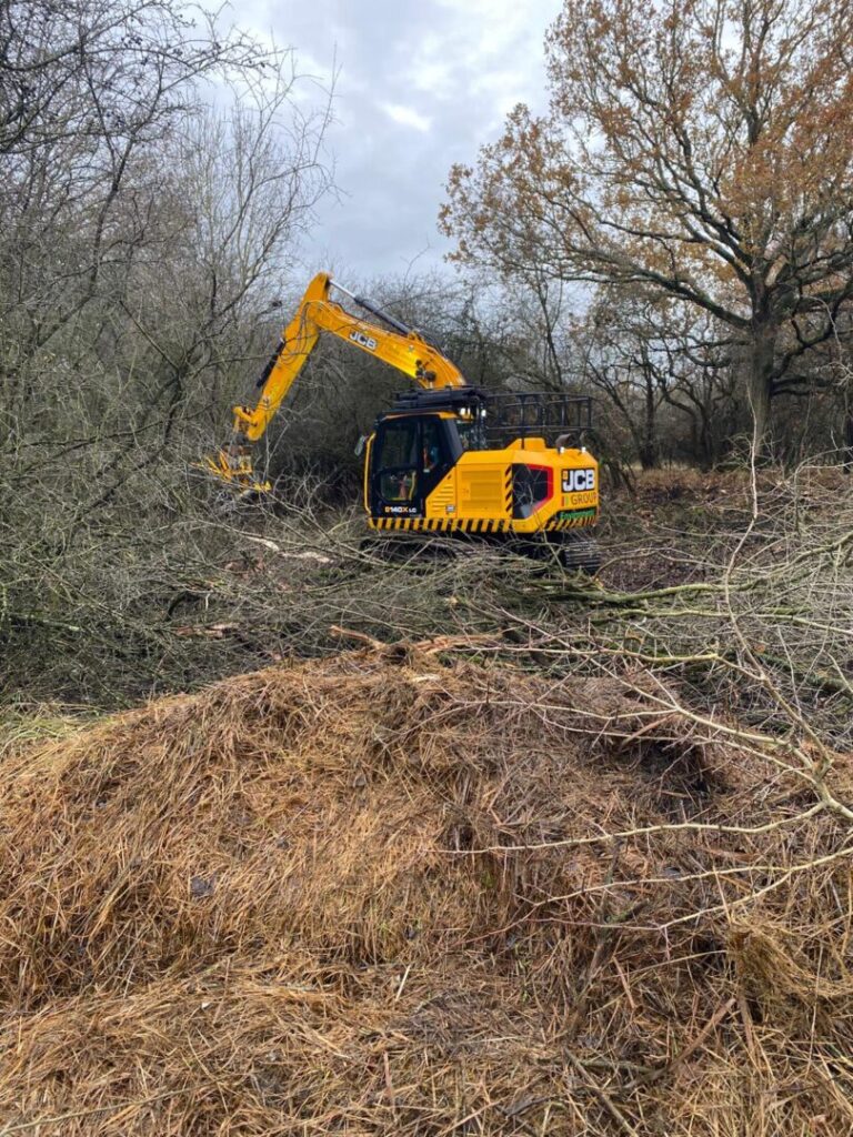 tree shearing and maintenance on land