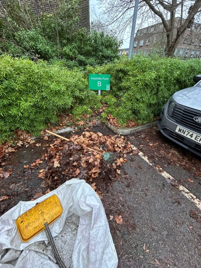 leaves clearance on car park