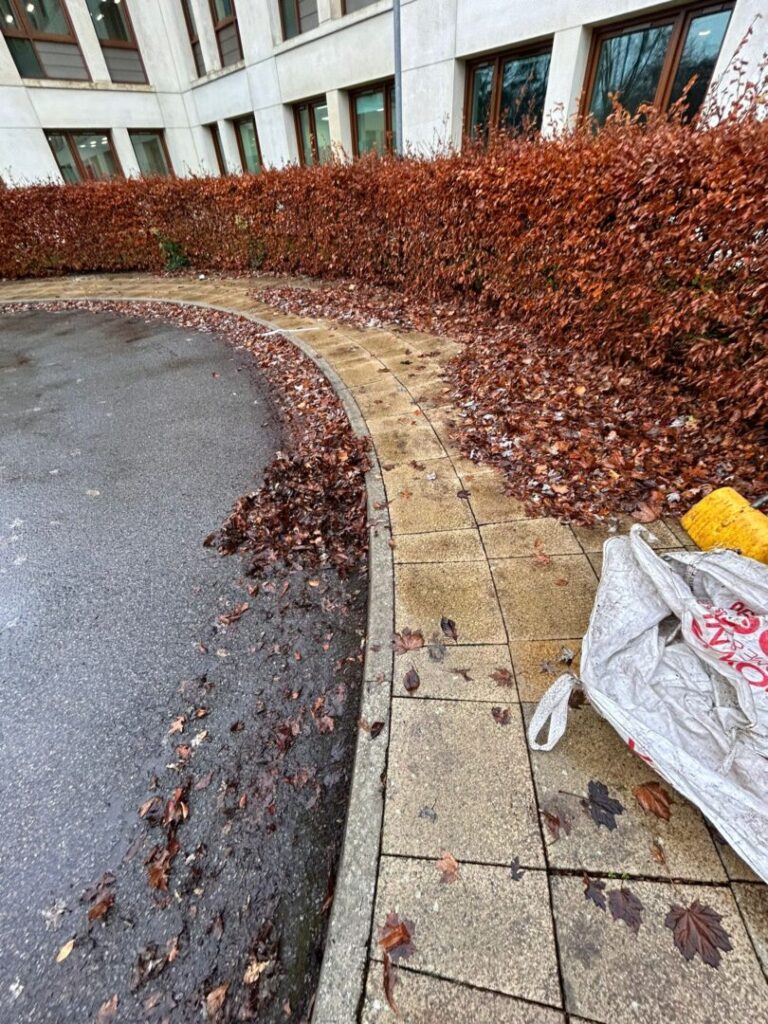 leaves being cleared outside large building