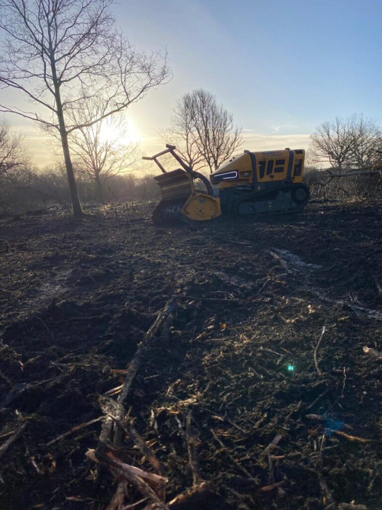 woodland clearance contractors working on site
