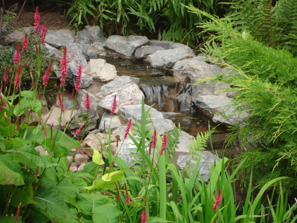 pond
