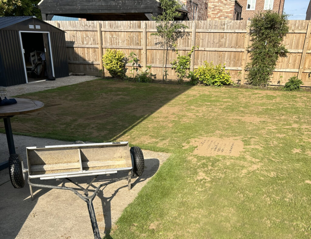 lawn reseeding service in progress