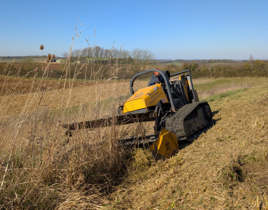clearing and cutting in progress