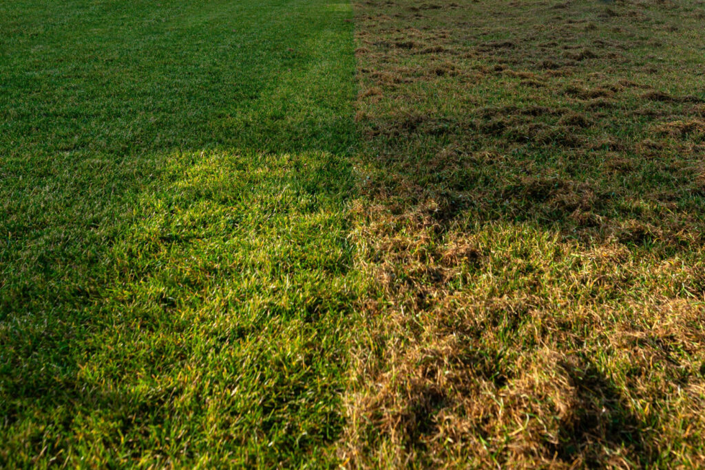 sports pitch scarification service before and after