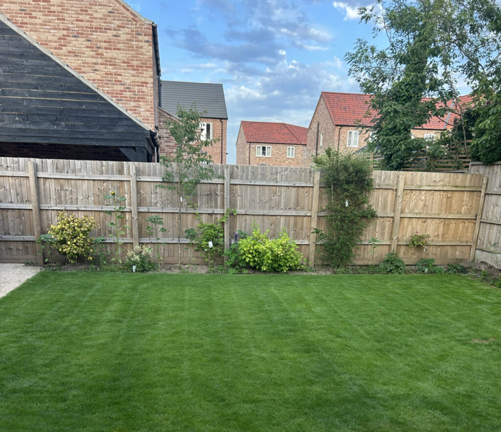 scarifying and lawn reseeding service completed in garden