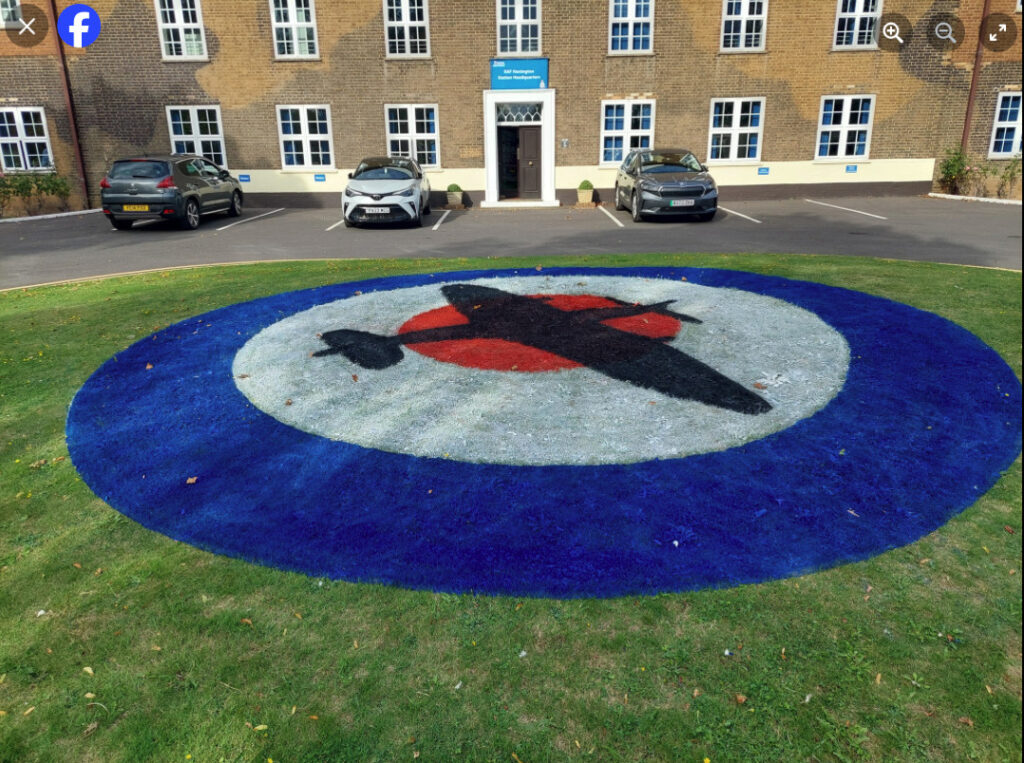 line marking and design on small patch outside building and carpark