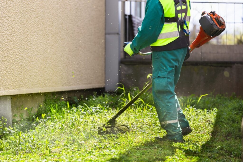 grass cutting back garden