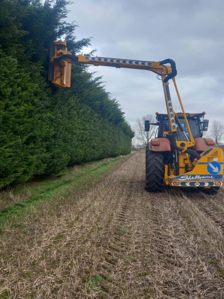 tall hedge cutting project