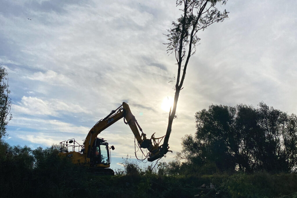 Tree Shearing Norfolk & East Anglia | Glover Environmental