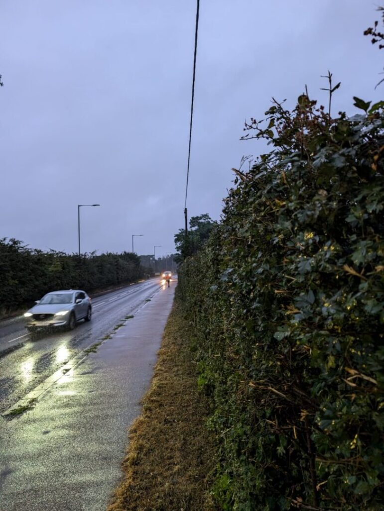 roadside hedge cutting at night completed