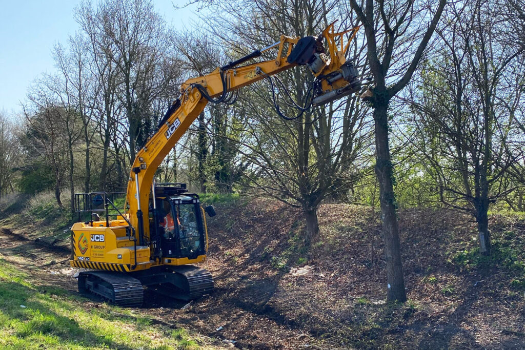 woodland and vegetation management services by Glover Environmental in Norfolk & East Anglia