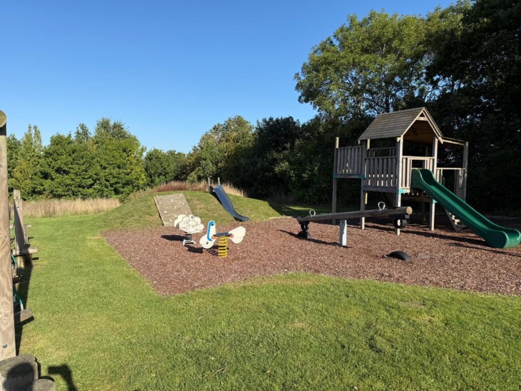 grass cutting and mowing on children's park