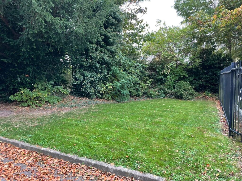 grass cutting job completed next to path